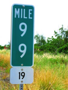 Mile99_Highway19_Big_Island_Hawaii