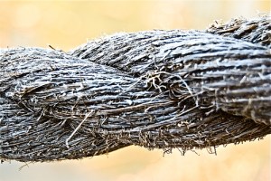 Ecc. 4:12: "A Threefold Cord is not easily broken."  