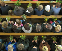Palm Sunday in Croatia.  From http://www.library.vanderbilt.edu/