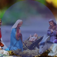 ff41fae5-e67c-4684-a4c2-70fbe45ae485