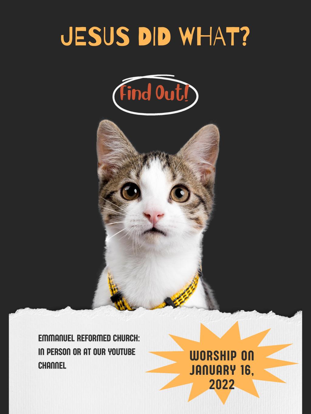 Jesus did what? January&nbsp;Update