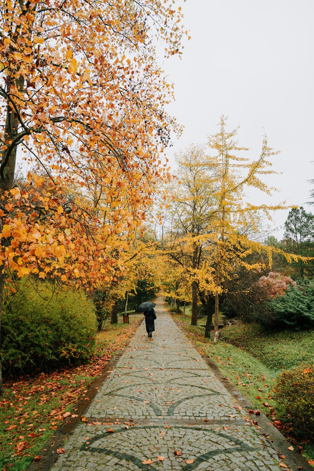 Sermon of November 23, 2025–“Jeremiah 29”